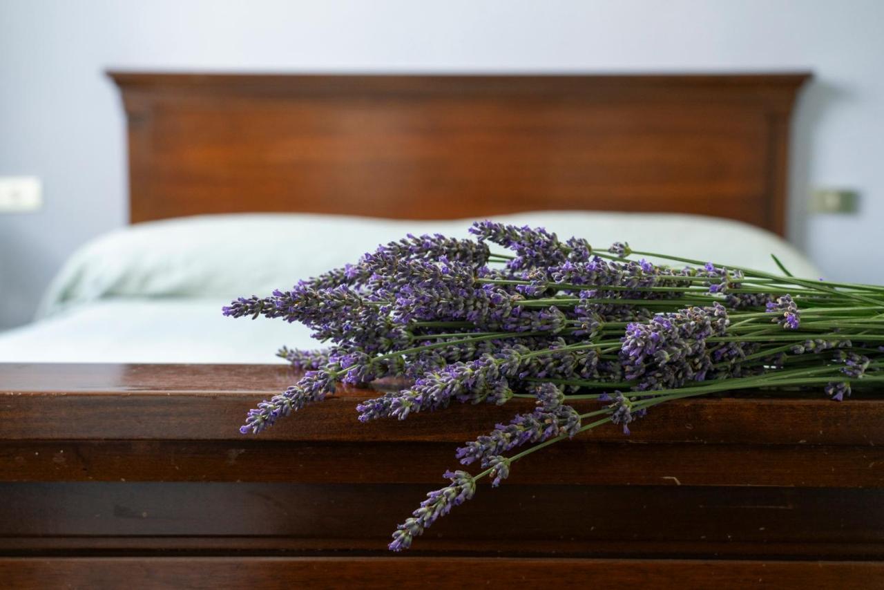 Lago Maggiore A 10 Minuti "Cascina Lavanda" Casalzuigno Kültér fotó