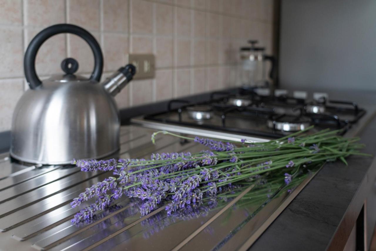Lago Maggiore A 10 Minuti "Cascina Lavanda" Casalzuigno Kültér fotó