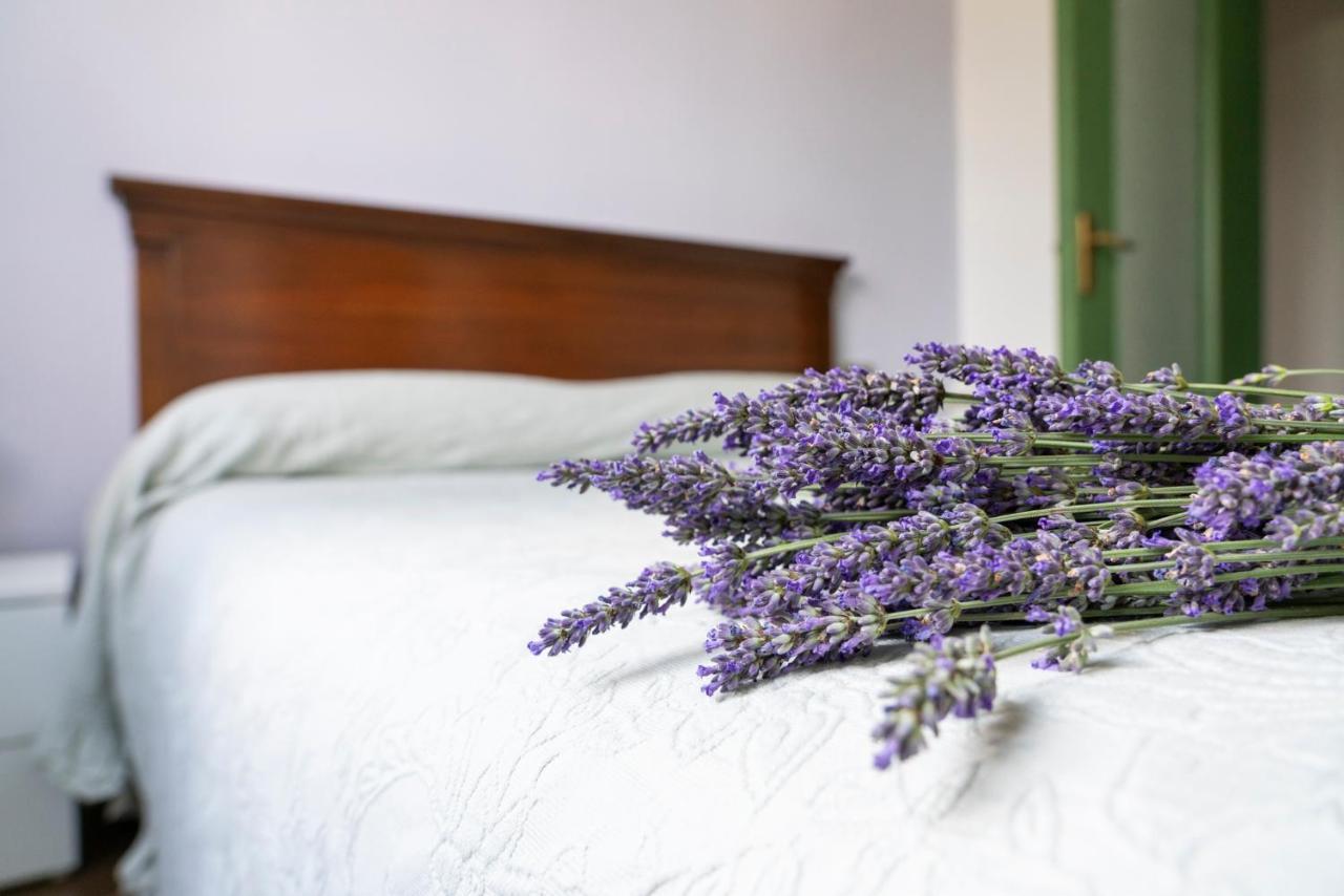 Lago Maggiore A 10 Minuti "Cascina Lavanda" Casalzuigno Kültér fotó